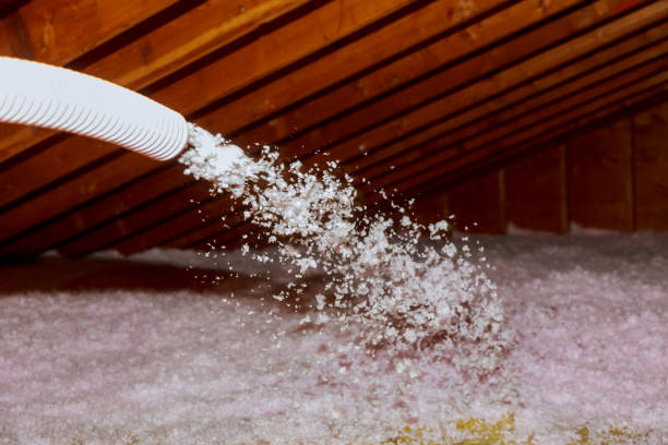 Best Eco-Friendly Insulation in Welcome, SC