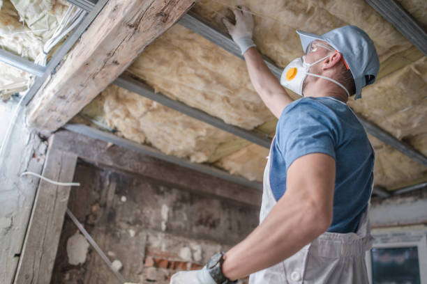 Best DIY Insulation Kits and Guidance in Welcome, SC